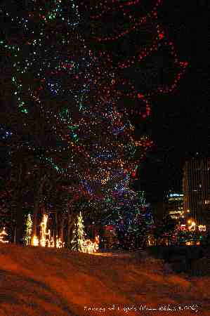 ../Images/080 Canopy of Lights.jpg